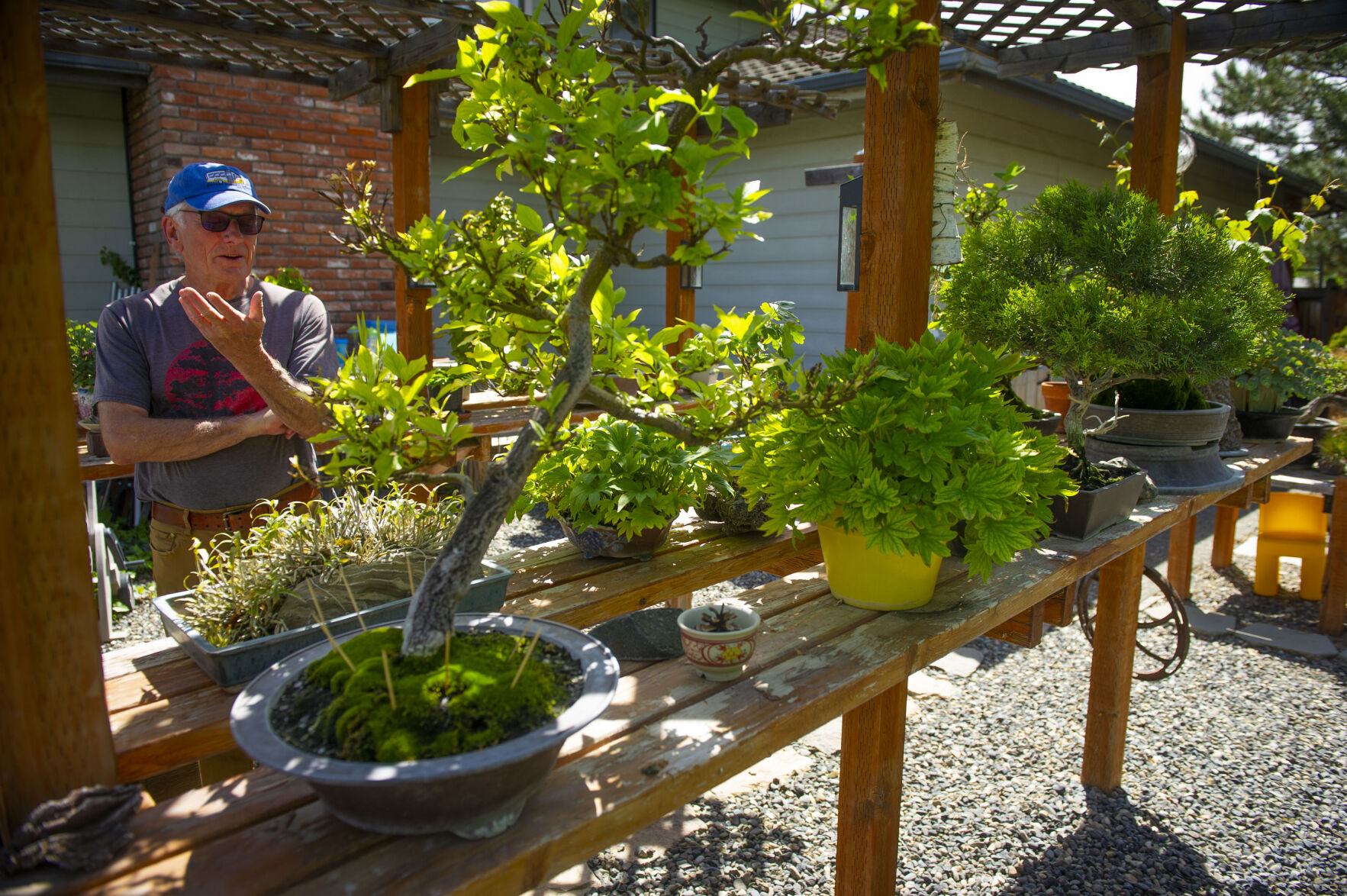 Pat Spencer's Bonsai Garden